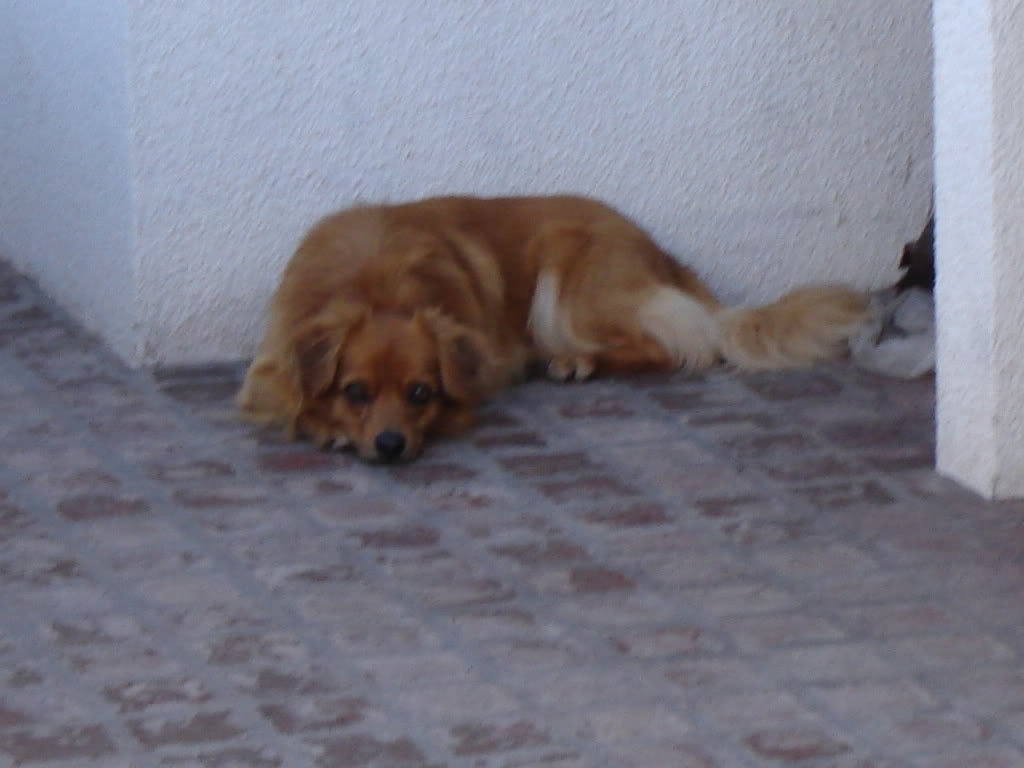 9297018c.jpg