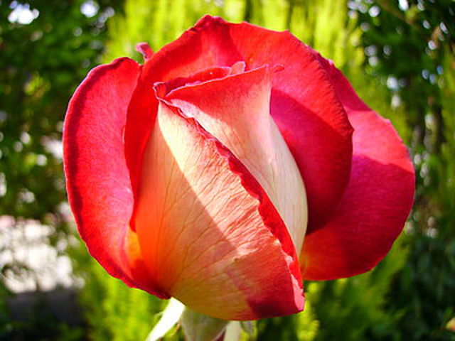 929e7089.jpg