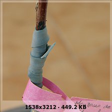 92fc96a8723c7e4a124f8bad781239e1o.jpg