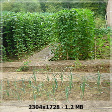 93f4b2c4c3a876d40076024374fc97dao.jpg