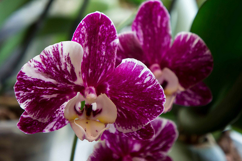 9453438448_3c3af55d54.jpg