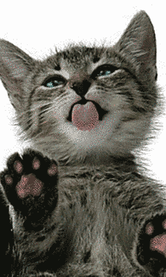 948b6d011f09160117b419a97b40ceb4.gif