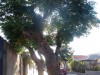 94f551384208417.jpg
