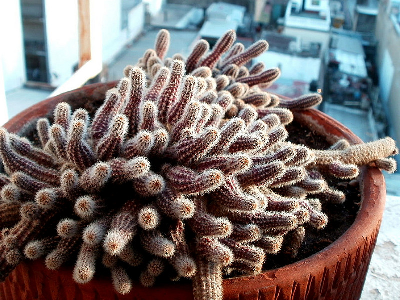 9527825417_d1374f23dc_c.jpg