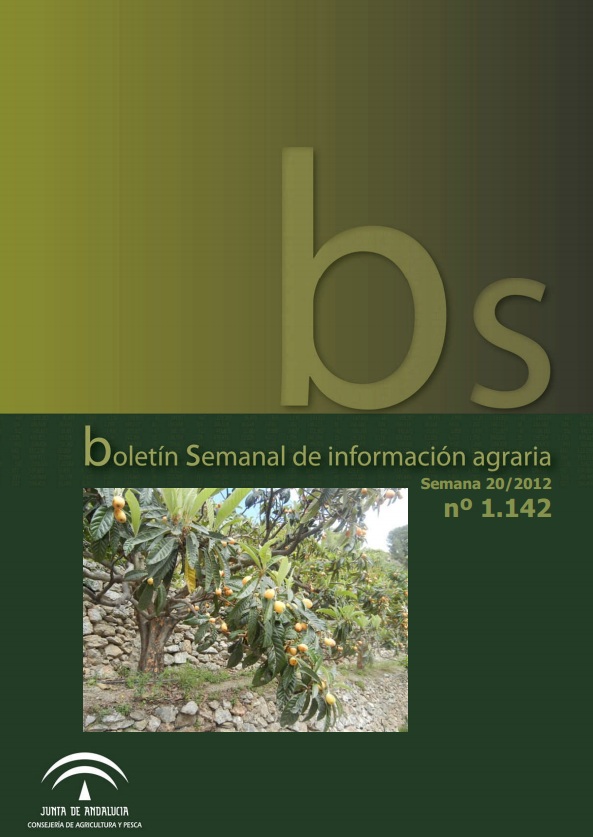 95597136.jpg