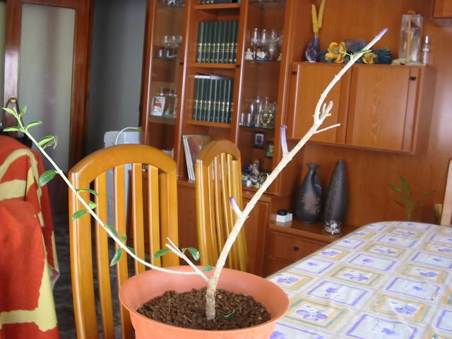 956415b1.jpg
