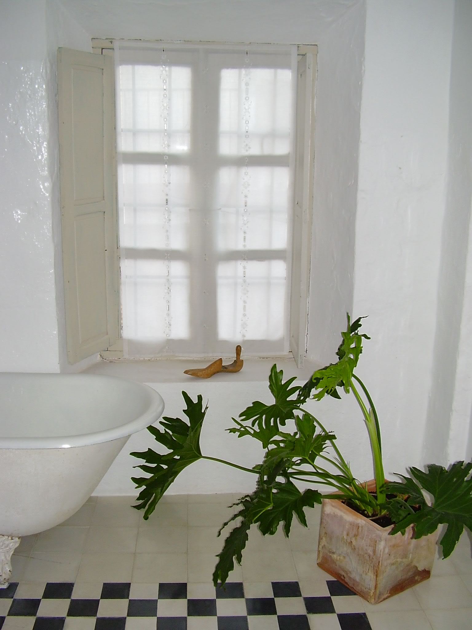 9578d876.jpg