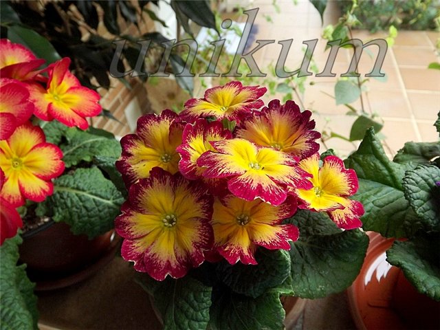 95dfcb55774d.jpg