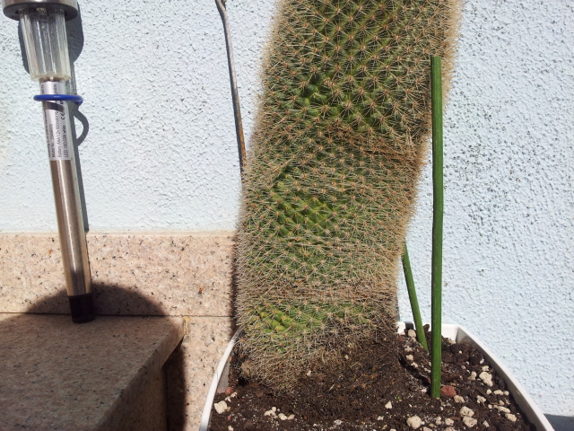 95vi85.jpg