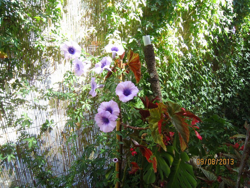9648145582_3debcccf75_b.jpg