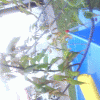 965a3d71998690.gif