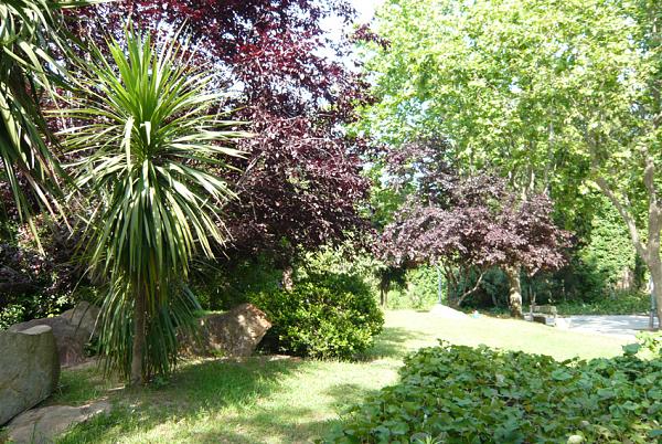 9745d1277467929t-jardines-con-diseno-p1040759.jpg