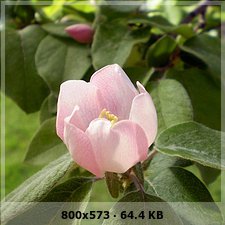 9763a9abb43e97666f6d6d7ecb219e6eo.jpg