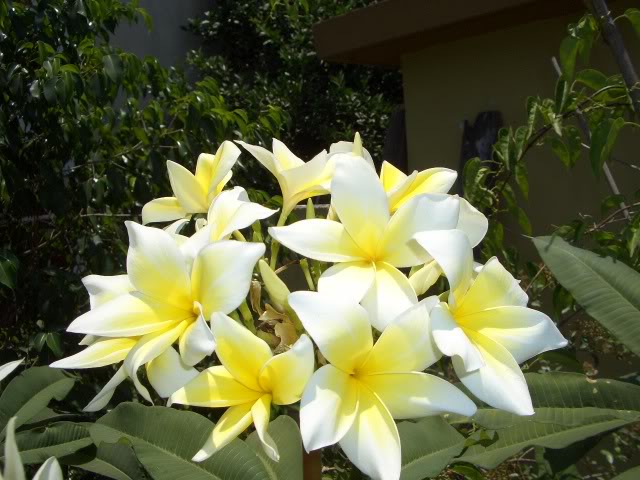 977fd521.jpg