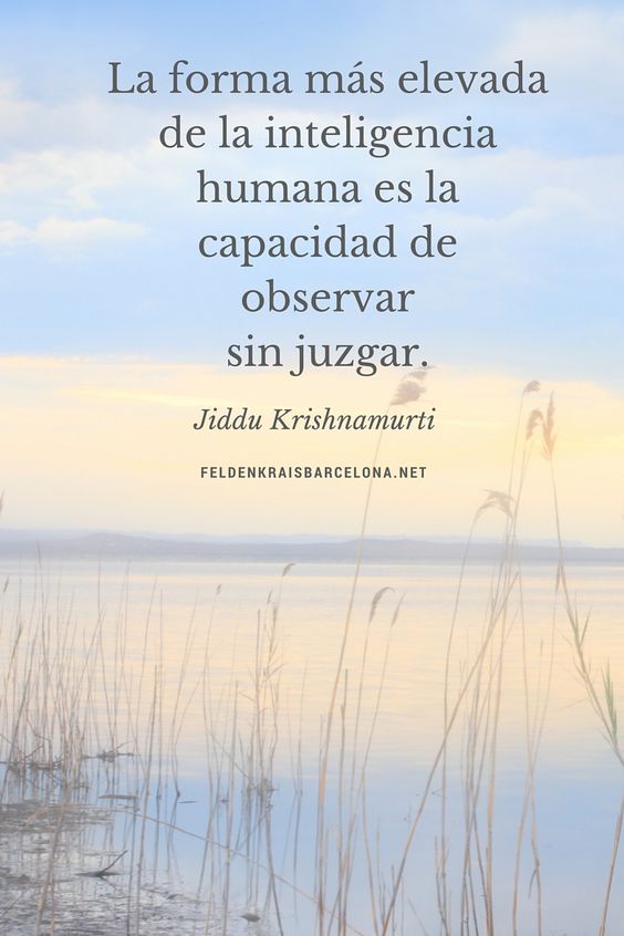 97a8d581d73068a4df96c45a37dabaca.jpg