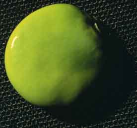 98-ACG-PI-d-1025.jpg