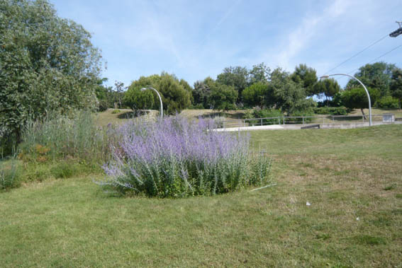 9800d1277633262-un-paseo-por-jardines-de-barcelona-p1040694.jpg