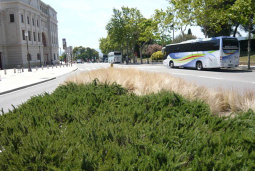 9811d1277633593-un-paseo-por-jardines-de-barcelona-p1040660stypas-romeros.jpg