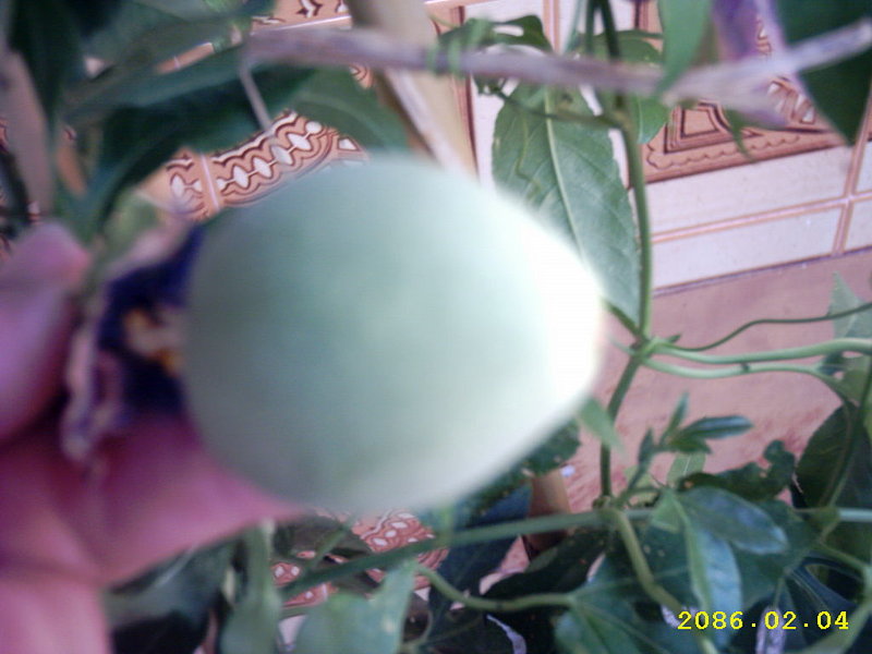 98c5b654de078ceef6aead3dc00fe3aao.jpg
