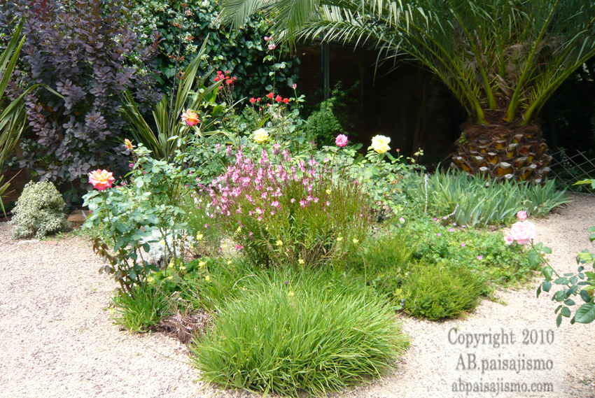 9957d1277912956-el-jardin-de-la-parroquia-p1040868.jpg