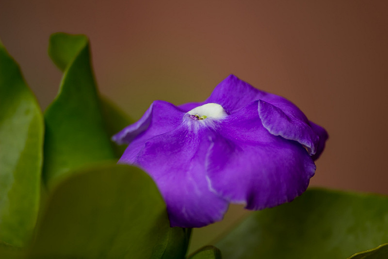 9989576754_ac0f32df91_c.jpg