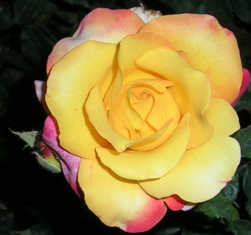 9_marzo_07_002.jpg