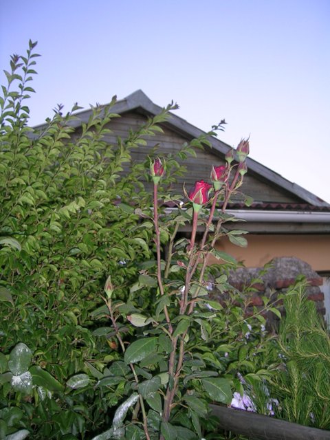 9_marzo_07_004.jpg