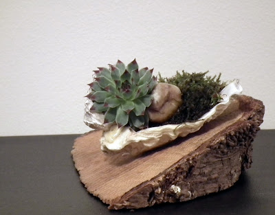 9_shell_tray_with_accent_plants.jpg