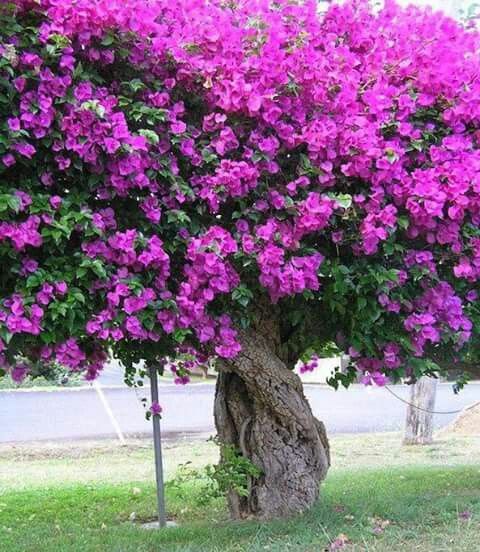 9a930ec599af3f1e80c04eb0e44ebbae.jpg