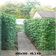 9b202f69919087cae802c368f1565f6ao.jpg