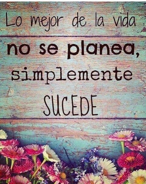9b2a783e6ca2beec283e9fc8750219e9.jpg