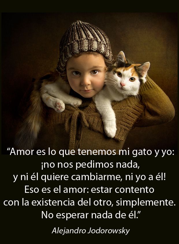 9b48a398818bebfc5249ca39d5cced0a.jpg