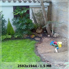 9cda676ca53b6f2caa5325b02ca42a6do.jpg