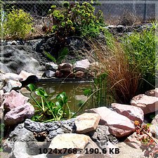 9d86b0580688a30e5681578c7ffc8fb1o.jpg
