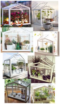 9e18d42ea57882905d4b765c14387a42--mini-serre-indoor-gardening.jpg