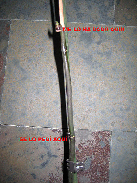 9e2bd569.jpg
