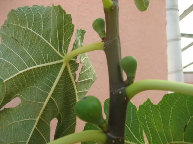 9hthzo.jpg
