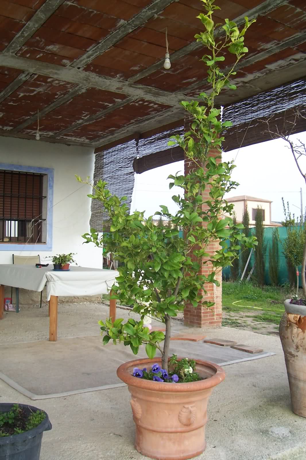 9jfw53.jpg