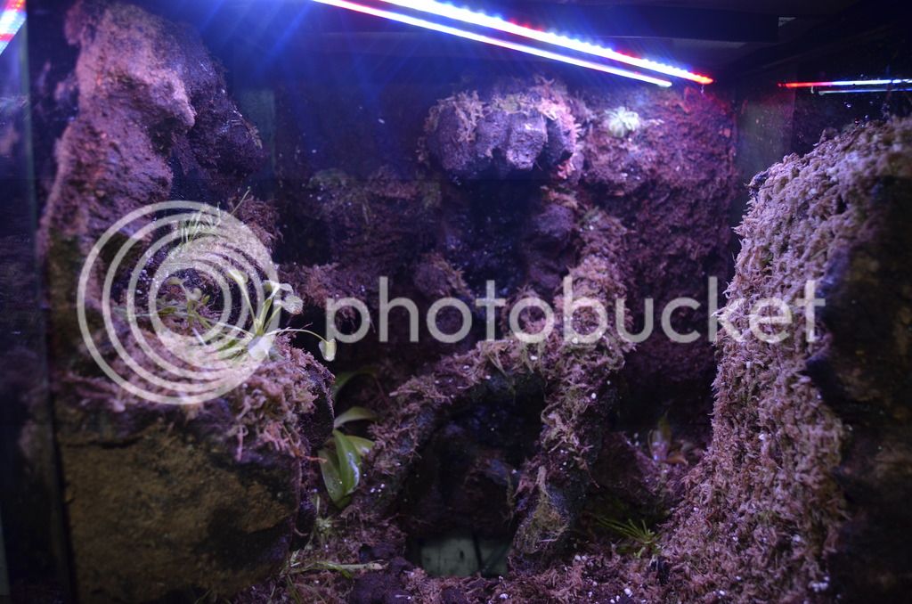 _DSC0061_zpstdortnpv.jpg