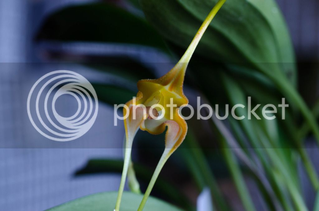 _DSC0075_zpsu9lzyo0p.jpg