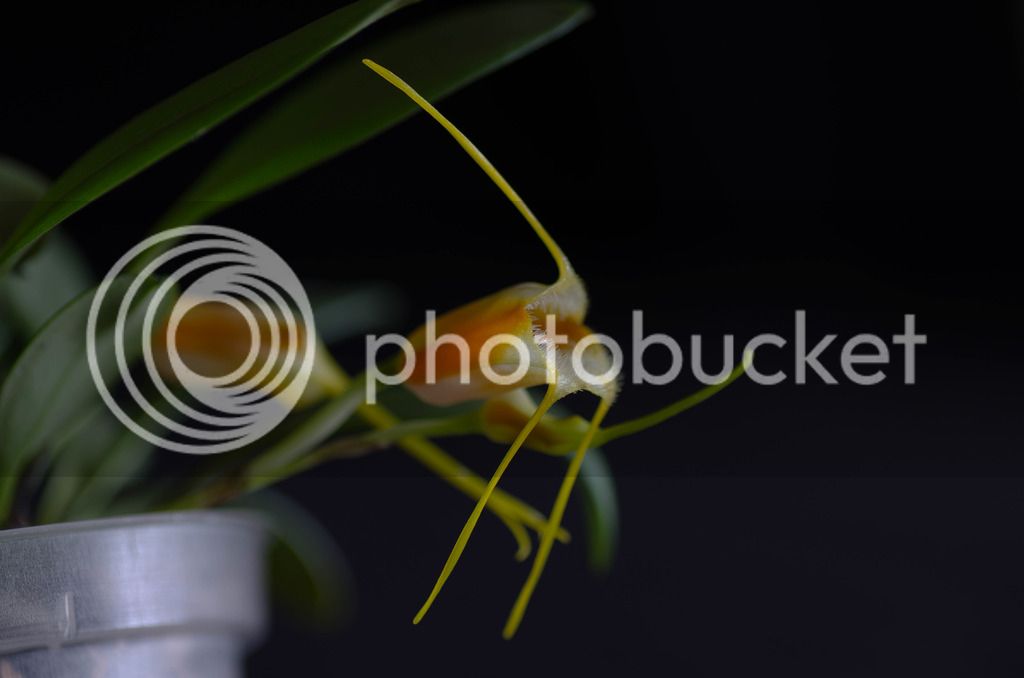 _DSC0089_zpsq67moeoq.jpg