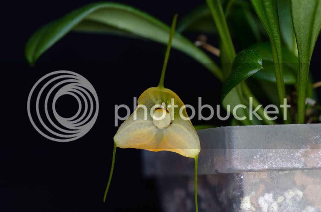 _DSC0215-2_zpsicsdts9v.jpg