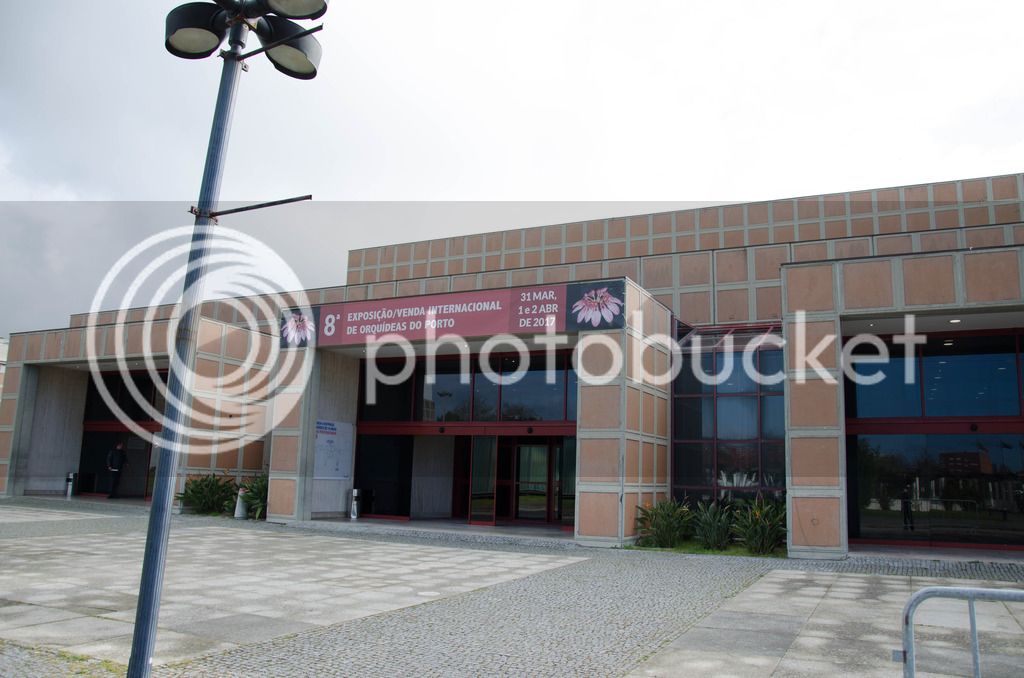 _DSC0471_zpsxmfocotu.jpg