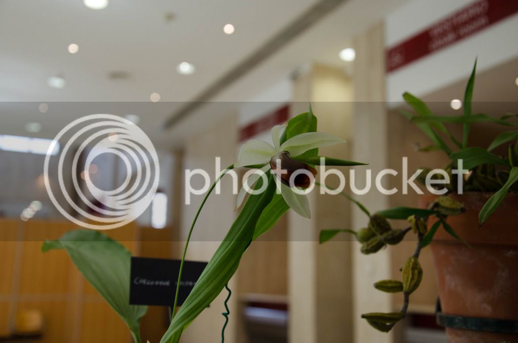 _DSC0478_zpsol89ozx0.jpg