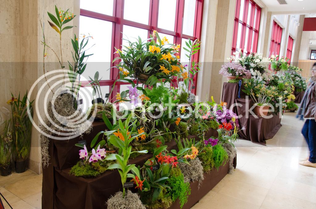 _DSC0518_zpsbab4sqfq.jpg
