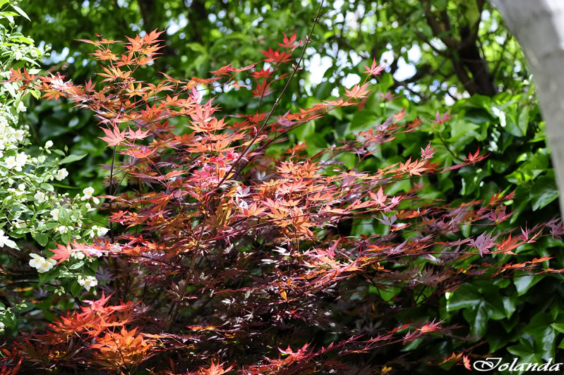 _DSC5828rec-1.jpg