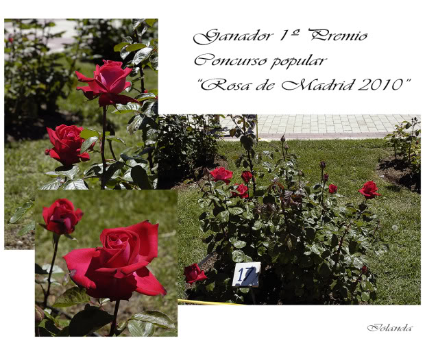 _DSC5933comcopia.jpg
