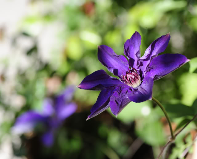 _DSC9030rec.jpg