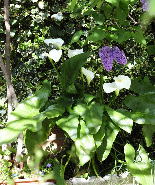 _DSC9045rec.jpg