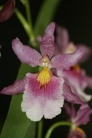 _MG_0893640x480.jpg